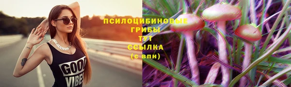 ECSTASY Нефтекумск