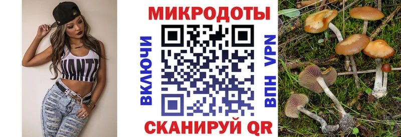 дарнет шоп  Советск  Псилоцибиновые грибы мицелий 
